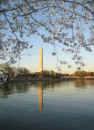 Washington Monument