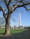 Washington Monument